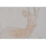George Campbell, RHA RUA - STUDY OF A DEER - Pen & Ink Drawing with Watercolour Wash - 7 x 9.5