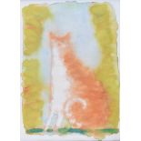 Neil Shawcross, RHA, RUA - GINGER CAT - Coloured Print - 20 x 14 inches - Unsigned