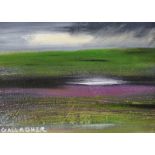 Martin Gallagher - BOGLAND - Oil on Board - 5 x 7 inches - Signed