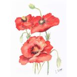 Lorraine Kidd - STILL LIFE, RED POPPIES - Watercolour Drawing - 12 x 9 inches - Signed