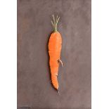 Kevin Meehan - CARROT STUDY - Oil on Board - 11 x 8 inches - Signed
