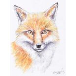 Andy Saunders - FOXY - Watercolour Drawing - 7 x 5 inches - Signed