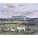 Hilary Bryson - LANDSCAPE, COWS WITH BEN BULBEN IN THE BACKGROUND - Oil on Canvas - 16 x 20 inches -