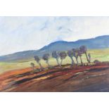 Hugh McIlfatrick - MOUNTAIN TREES - Acrylc on Board - 12 x 16.5 inches - Unsigned