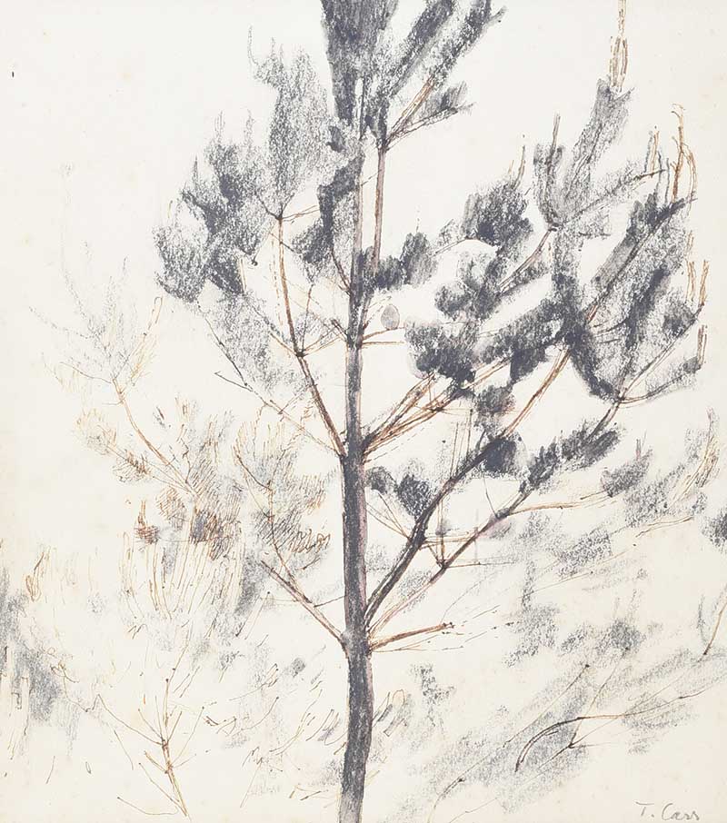 Tom Carr, HRHA HRUA RWS - TREE STUDY - MIixed Media - 10 x 9 inches - Signed