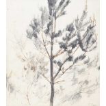 Tom Carr, HRHA HRUA RWS - TREE STUDY - MIixed Media - 10 x 9 inches - Signed