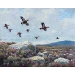 Julian Friers, RUA - GROUSE OVER THE MOORS - Oil on Canvas - 16 x 20 inches - Signed