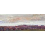 Ross Wilson, ARUA - LANDSCAPE & BOG - Oil on Board - 4 x 10 inches - Unsigned