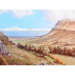 David Overend - GLENARRIFFE GLEN, COUNTY ANTRIM - Coloured Print - 6 x 8 inches - Signed