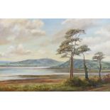 Vittorio Cerefice - SCRABO TOWER ACROSS STRANGFORD LOUGH - Oil on Canvas - 20 x 30 inches - Signed