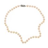 MIKIMOTO STRAND OF CULTURED PEARLS WITH PIERCED SILVER CLASP