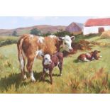 Donal McNaughton - CATTLE IN THE GLENS - Oil on Board - 16 x 22 inches - Signed