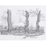 Ian Bruce Marr - ASH TREES AT STRADREAGH, COUNTY DERRY - Pencil on Paper - 6 x 8 inches - Signed