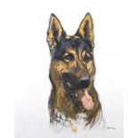 Stephen McKeown - GERMAN SHEPHERD - Oil on Canvas - 30 x 24 inches - Signed