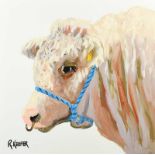 Ronald Keefer - SHOW BULL - Oil on Board - 24 x 24 inches - Signed