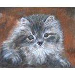 Phyllis Leopold, RUA - TABBY CAT - Oil on Canvas - 10 x 12 inches - Unsigned