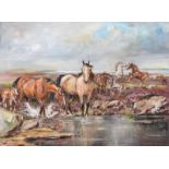 Maybeth MacFarlane - CONNEMARA PONIES - Oil on Canvas - 18 x 24 inches - Signed