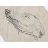 William Conor RHA RUA - DOG STUDY - Pencil on Paper - 4 x 5 inches - Unsigned