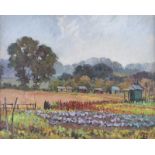 James P. Chettle - THE CABBAGE PATCH - Oil on Canvas - 16 x 20 inches - Signed