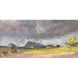 Jim Holmes - MUCKISH MOUNTAIN FROM ARDS FOREST PARK - Oil on Board - 8 x 16 inches - Signed