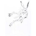 Matthew H. Smyth - JUMPING HARE - Pen & Ink Drawing - 16 x 12 inches - Unsigned