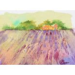 Lynda Cookson - LAVENDER FIELDS AT MOUNT STEWART - Watercolour Drawing - 6 x 8 inches - Signed