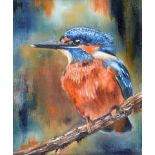 Michael Smyth - KINGFISHER - Oil on Canvas - 12 x 10 inches - Signed