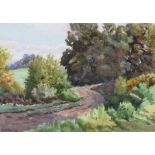 Charles McAuley - A COUNTRY LANE IN THE GLENS - Watercolour Drawing - 10 x 14 inches - Signed