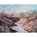 Aitor Estefania - THE WINDING RIVER - Oil on Board - 11 x 14 inches - Signed