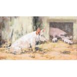 Neville Barker - THE INQUISITIVE PIGLETS - Oil on Canvas - 8 x 13 inches - Signed