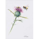 Lawrence Chambers - THISTLE & BEES - Pastel on Paper - 9 x 6.5 inches - Signed