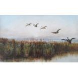 Andrew Nicholl, RHA - DUCKS OVER WETLANDS - Watercolour Drawing - 12 x 20 inches - Signed