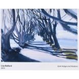 Lisa Ballard - DARK HEDGES & SHADOWS - Coloured Print - 13 x 19 inches - Unsigned