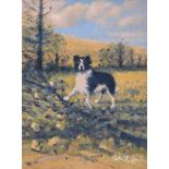 Patrick Smyth - COLLIE SURPRISE - Oil on Canvas - 12 x 9 inches - Signed