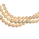 TRIPLE STRAND OF CULTURED PEARLS WITH 9CT GOLD CLASP