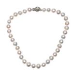 STRAND OF SOUTH SEA PEARLS WITH STERLING SILVER CLASP