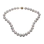 STRAND OF SILVER FRESH WATER PEARLS WITH 9CT GOLD CLASP