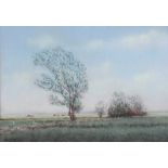 Wilfred Haughton, RUA - LANDSCAPE, BALLYMENA - Pastel on Paper - 9 x 13 inches - Signed