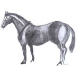 Brian Merry - STANDING HORSE - Pencil on Paper - 10 x 13 inches - Signed