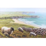 Keith Glasgow - SHEEP ABOVE WHITEPARK BAY, COUNTY ANTRIM - Coloured Print on Linen - 12 x 18