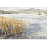 Kathleen Bridle, RUA - FROM BOA ISLAND, REEDS & WATER - Watercolour Drawing - 15 x 22 inches -