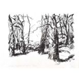 Brian Ballard, RUA - TREES - Limited Edition Black & White Print (2/20) 18 x 25 inches - Signed