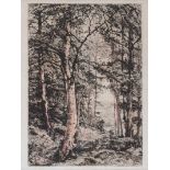 C.P. Stocombe - WOODLANDS - Coloured Etching - 10 x 7 inches - Unsigned