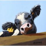 Ronald Keefer - COW ON BLUE - Oil on Board - 24 x 24 inches - Signed