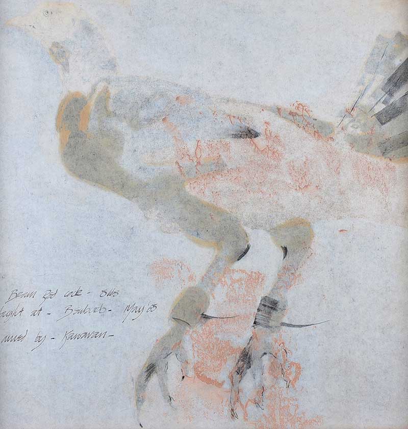 Basil Blackshaw, HRHA, HRUA - FIGHTING COCK I - Coloured Mono Print - 15 x 15 inches - Unsigned