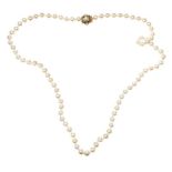 STRAND OF CULTURED PEARLS WITH 9CT GOLD CLASP