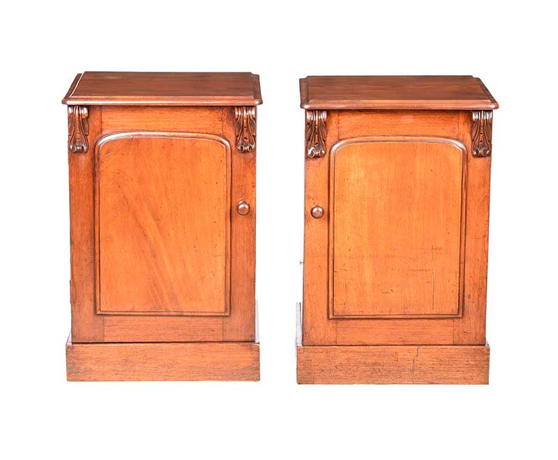 PAIR OF WILLIAM IV BEDSIDE PEDESTALS - Image 5 of 5