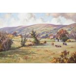 Donal McNaughton - CATTLE GRAZING IN THE GLENS - Oil on Board - 16 x 24 inches - Signed