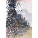 Martin D. Cooke - TREE & WILD BUSHES - Watercolour Drawing - 6 x 4.5 inches - Signed