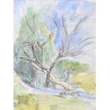 Tom Carr, HRHA RUA RWS - TREE BY THE STREAM - Watercolour Drawing - 12 x 9 inches - Signed